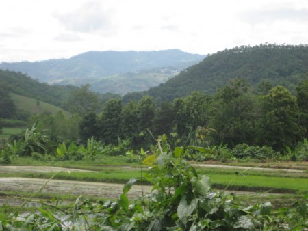 8 rai in Mae Lao, pleasant scenery