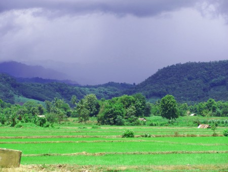 A Gem of a property in Mae Lao
