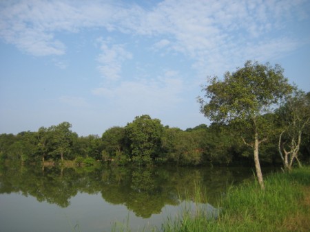 23 rai in Mae Yao